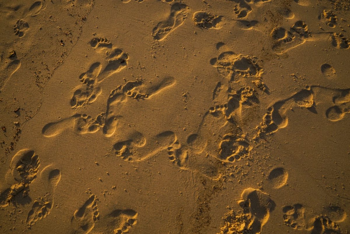 The Sound of Footsteps That Was Never Recorded on Set