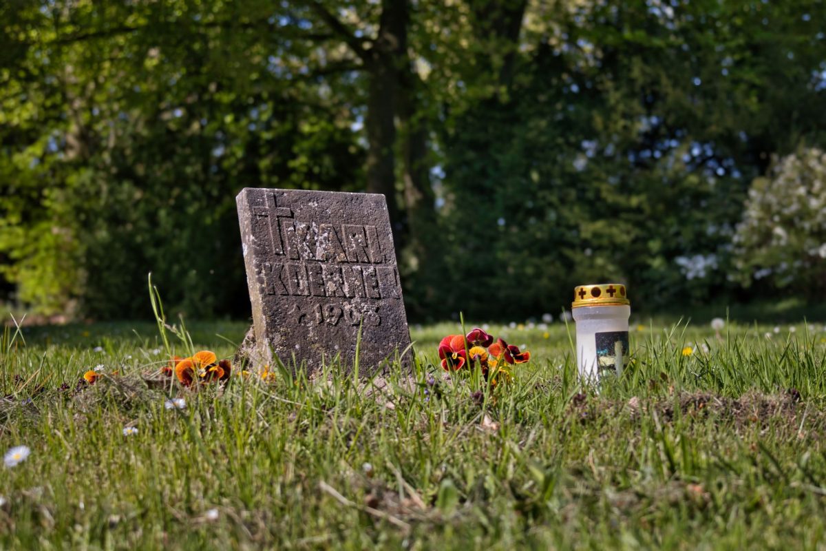 The Strange Afterlife of Deleted Scenes