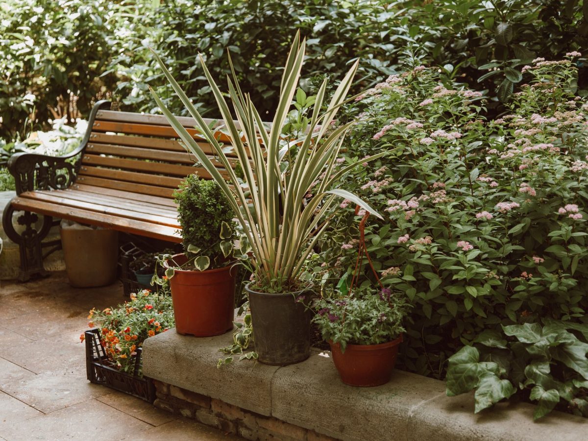 When a Production Builds a Real Garden for One Scene