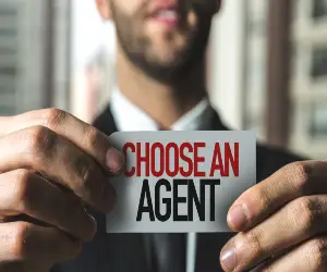 Acting Agencies. What Will The First Year Bring?